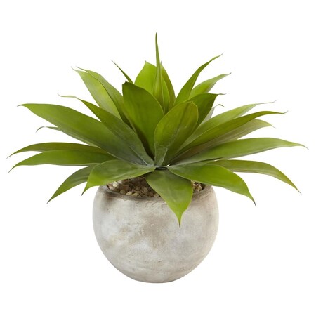 Dare2Decor Agave in Sand Colored Bowl DA803926